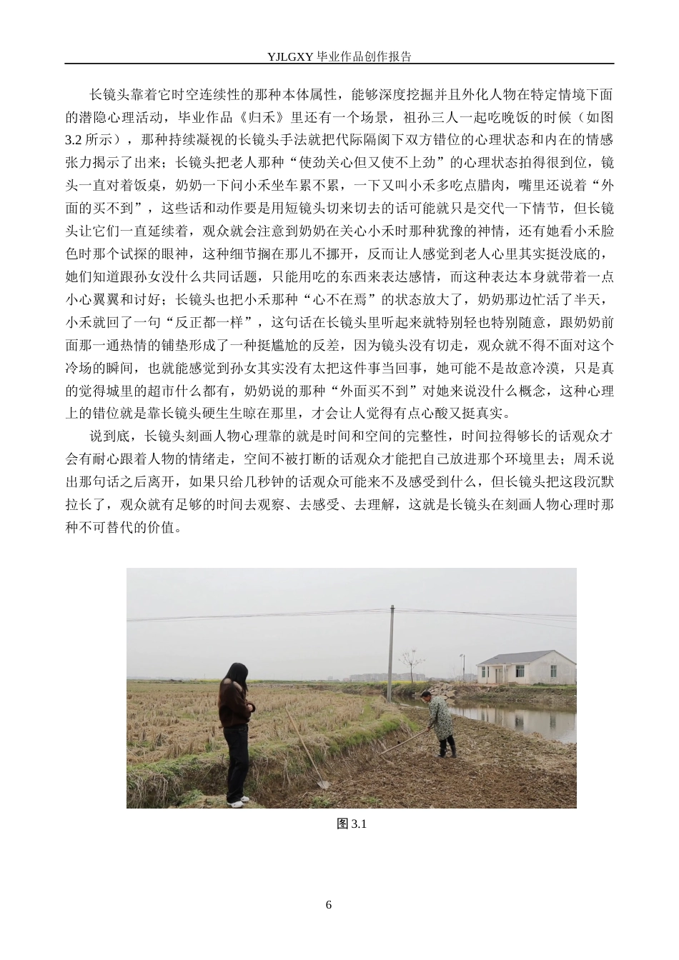 26年WP影视技术 毕业作品《归禾》中长镜头对人物塑造的作用-AI(15955字).docx_第9页