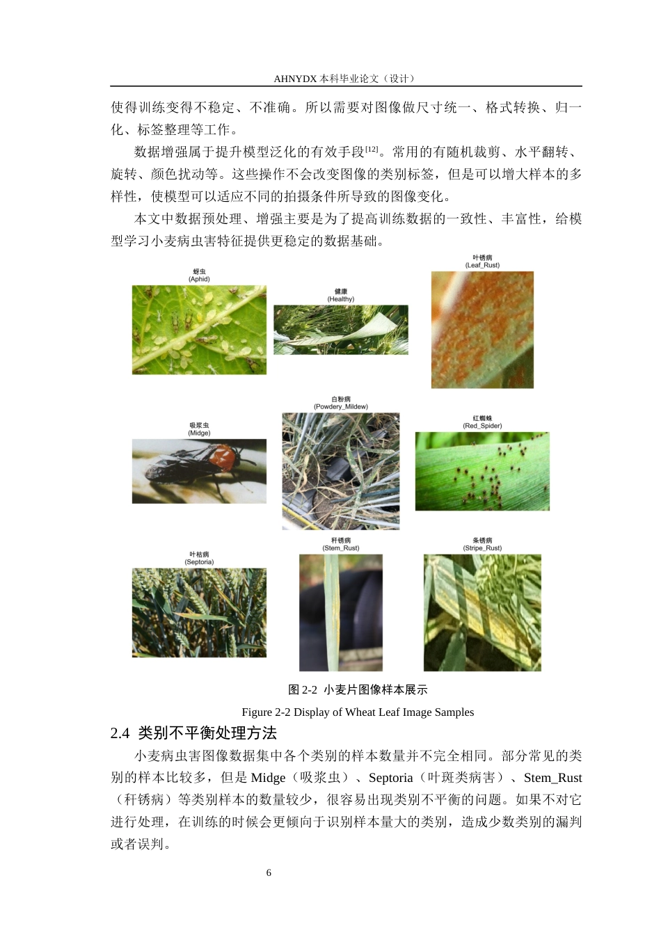 26年WP计算机科学与技术 基于深度学习小麦病虫害智能识别软件设计与实现8.62-AI通过(18485字).docx_第10页
