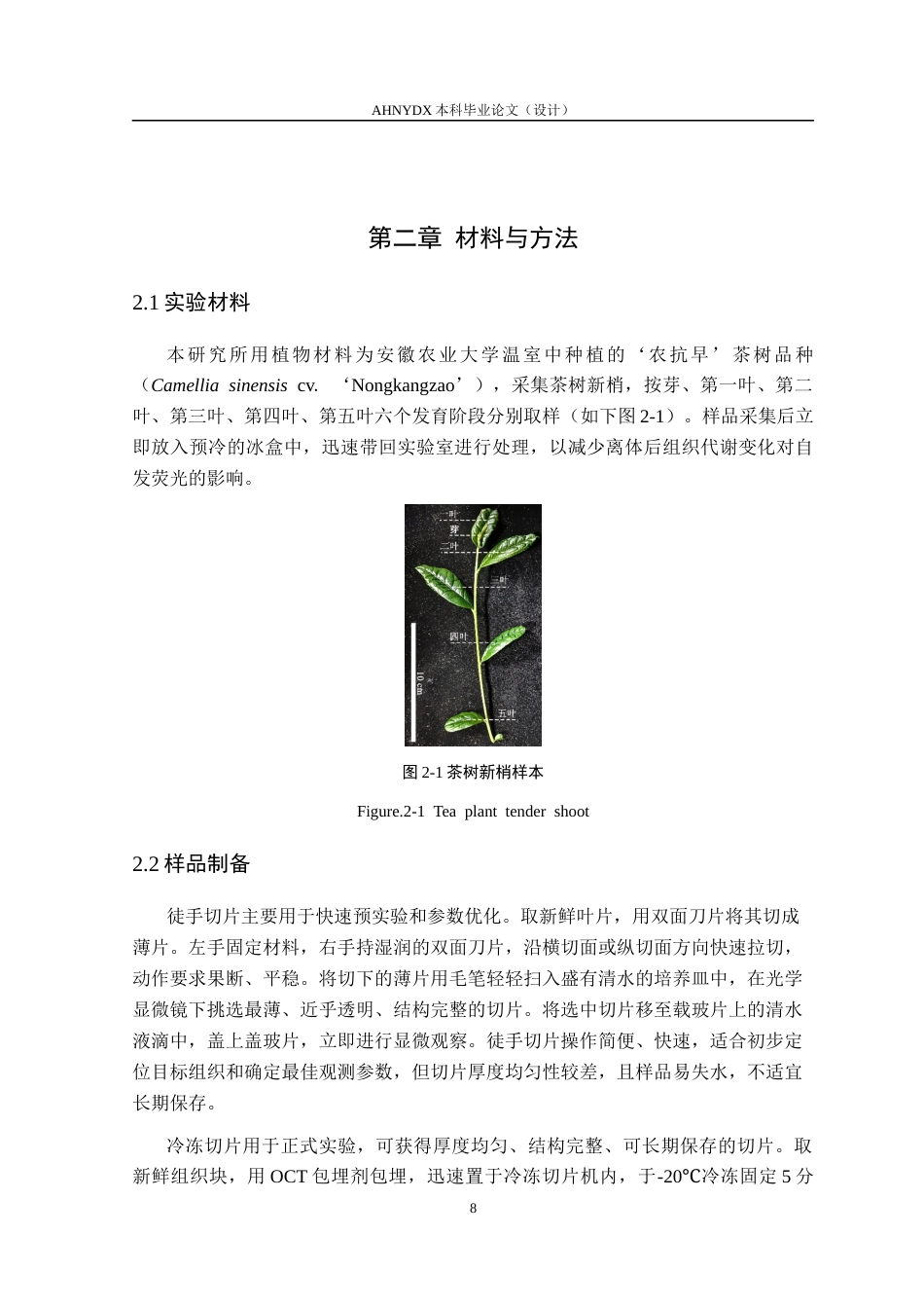 26年WP茶学 基于激光共聚焦λ-scan的茶树不同组织微区激发-发射光谱研究3.83-AI通过(12332字).docx_第8页