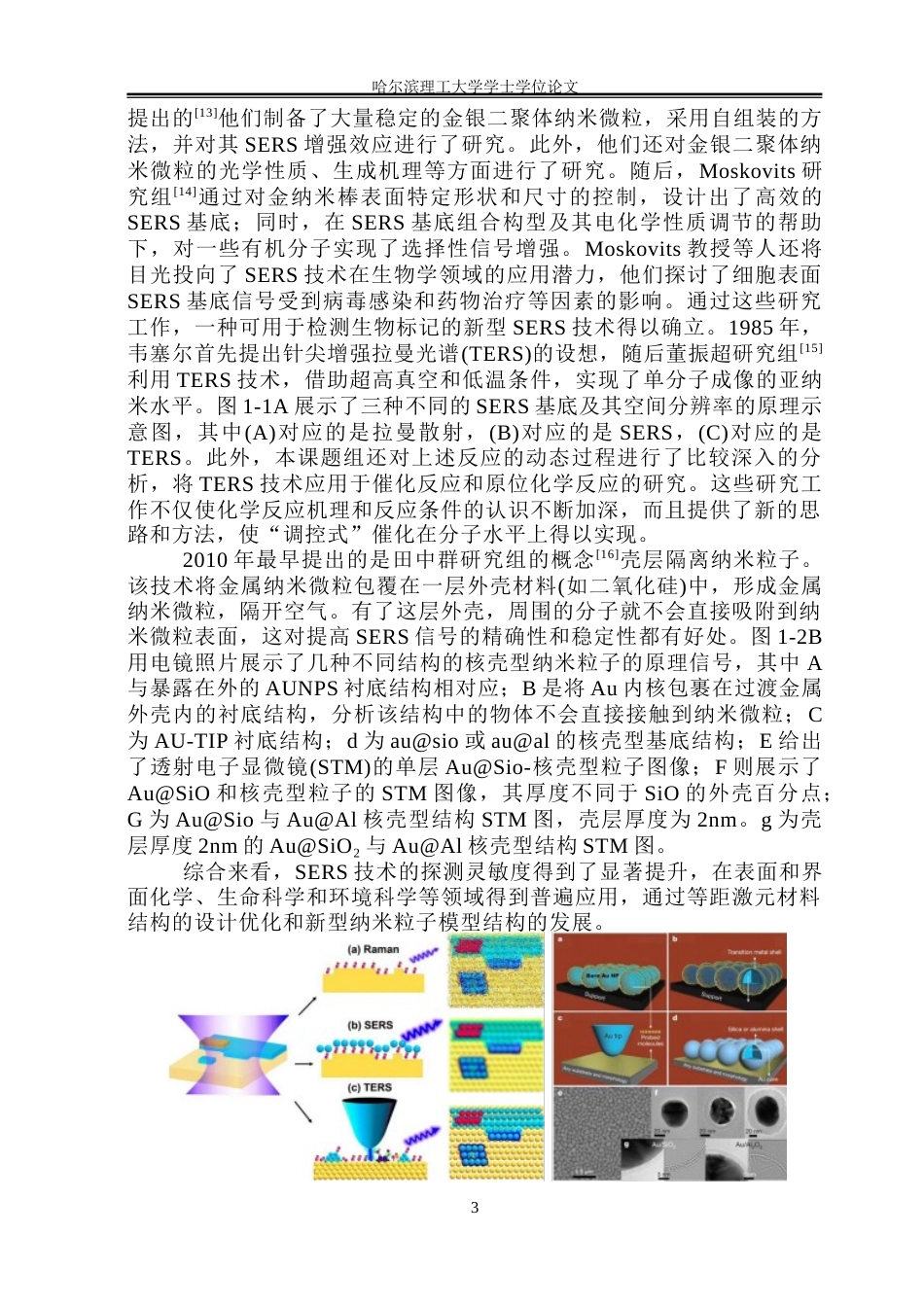 26年WP测控技术与仪器 基于纳米金的染料分子SERS理论仿真与检测研究20.68-AI18.5(29832字).docx_第8页