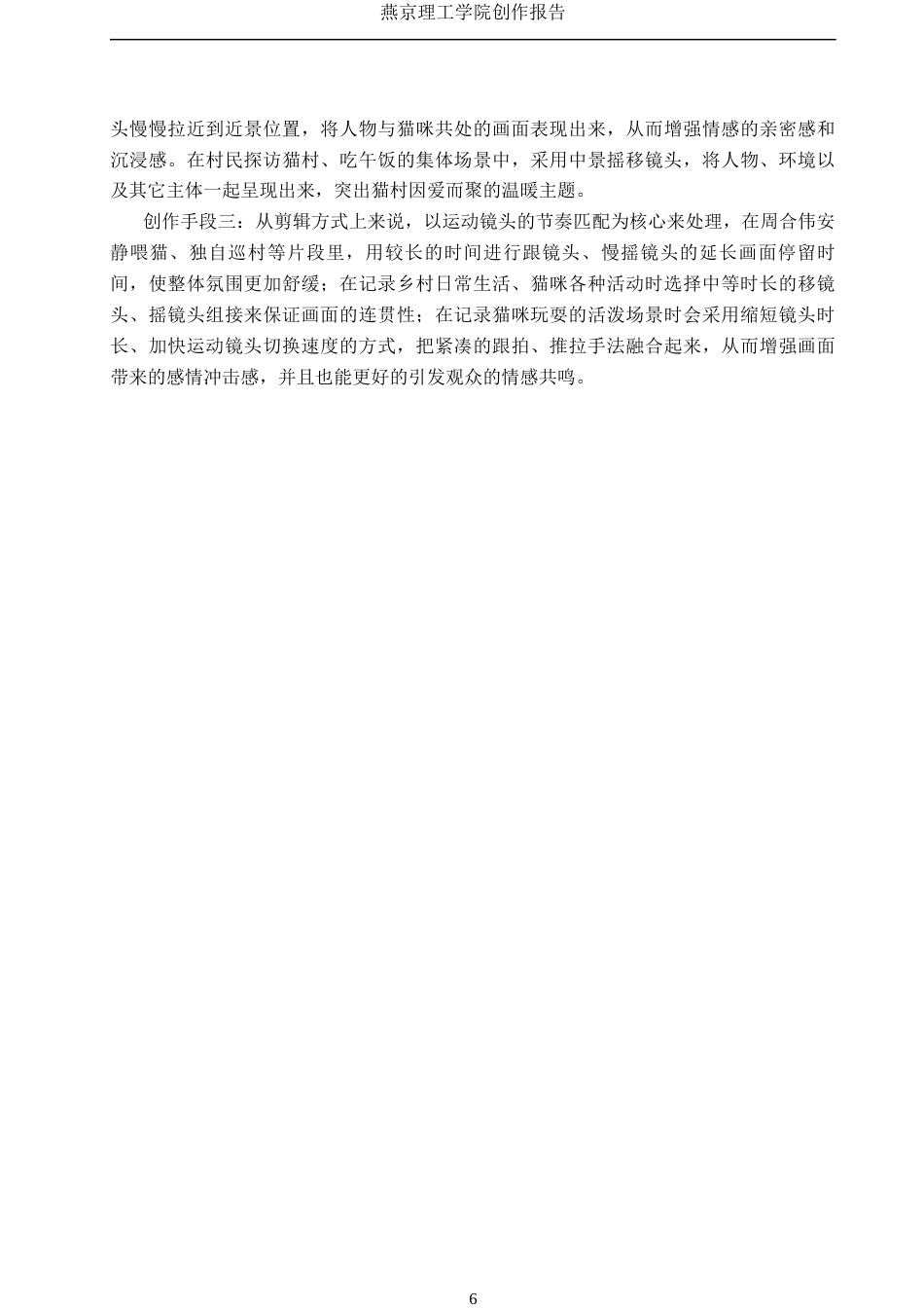 26年WP广播电视编导 毕业作品《中国猫村》中运动镜头的应用阐述1.92-AI0.55(22374字).docx_第10页