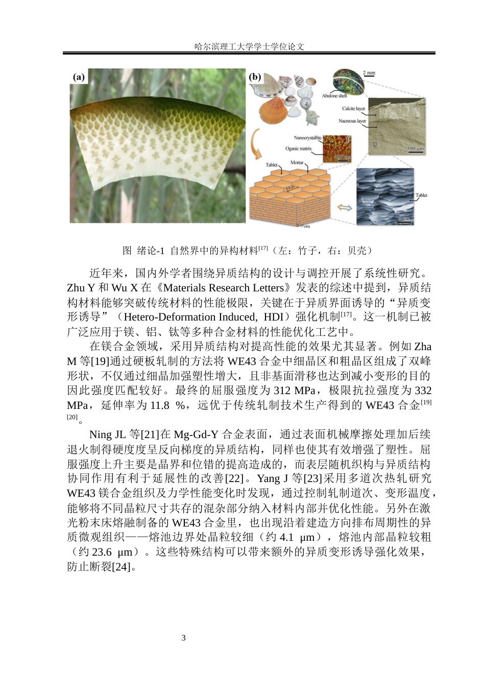 26年WP金属材料工程 镍涂层对WE43镁合金叠轧板材微观组织与力学性能的影响7.24-AI8.44.docx_第8页