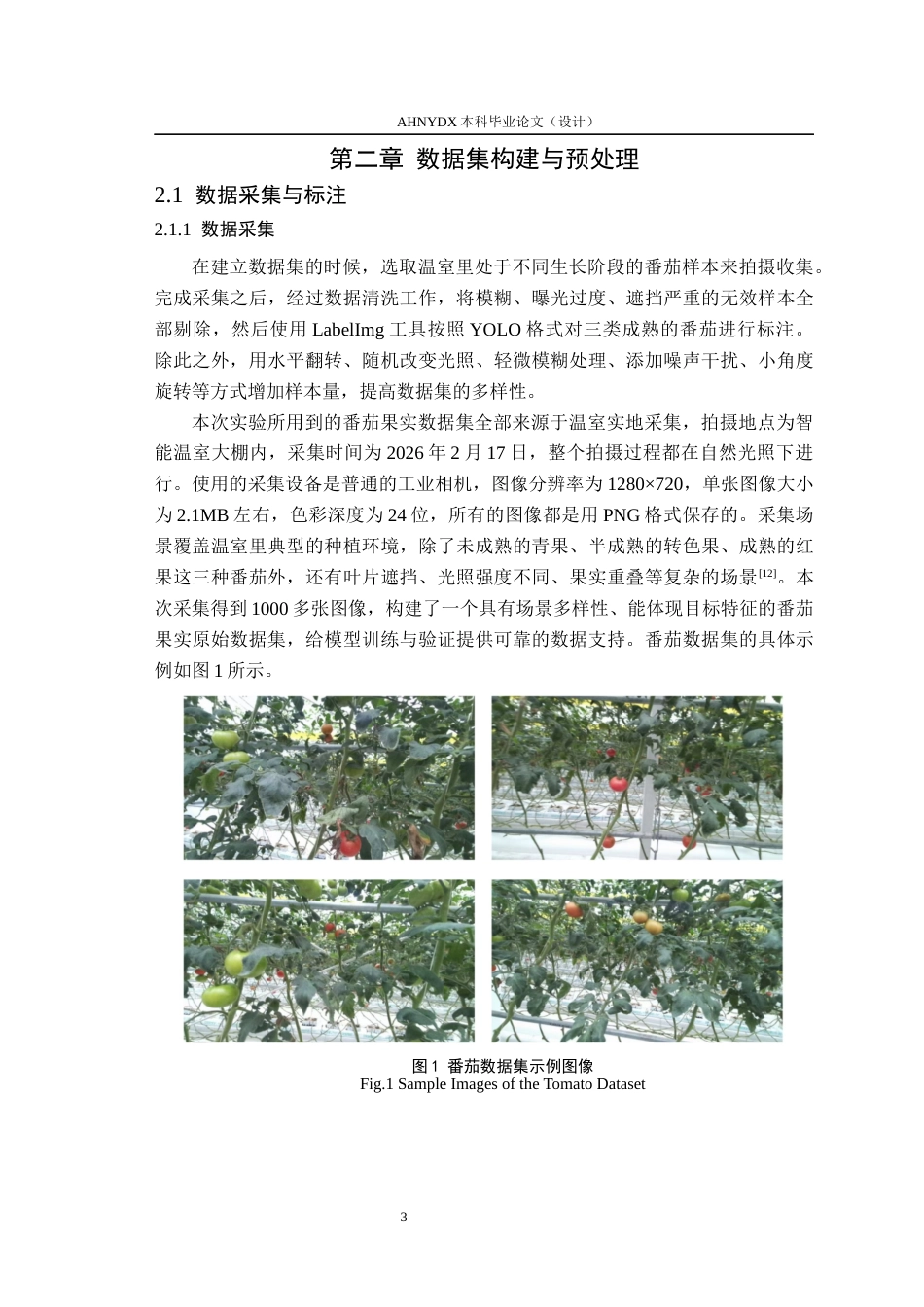 26年WP智能科学与技术 基于改进YOLO11的番茄果实目标检测算法研究5.68-AI通过(15127字).docx_第8页
