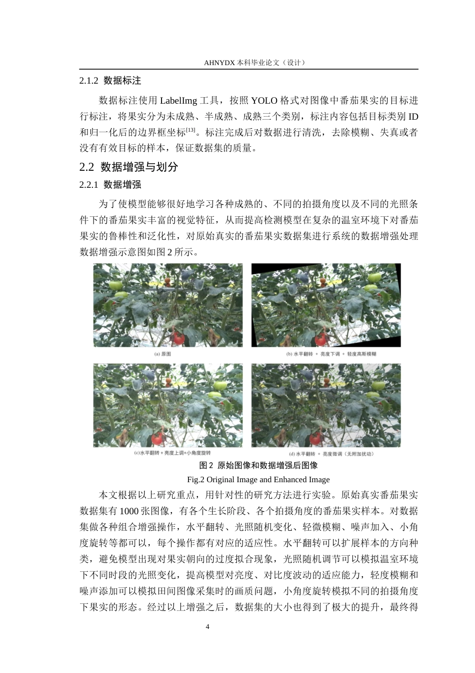 26年WP智能科学与技术 基于改进YOLO11的番茄果实目标检测算法研究5.68-AI通过(15127字).docx_第9页