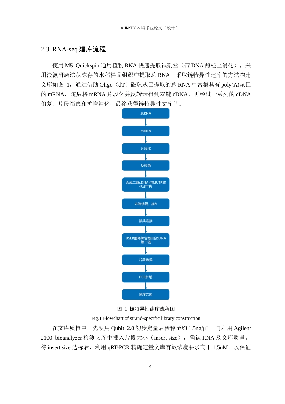 26年WP种子科学与工程 基于转录组测序的水稻抗褐飞虱响应基因挖掘15.66-AI通过(12459字).docx_第9页