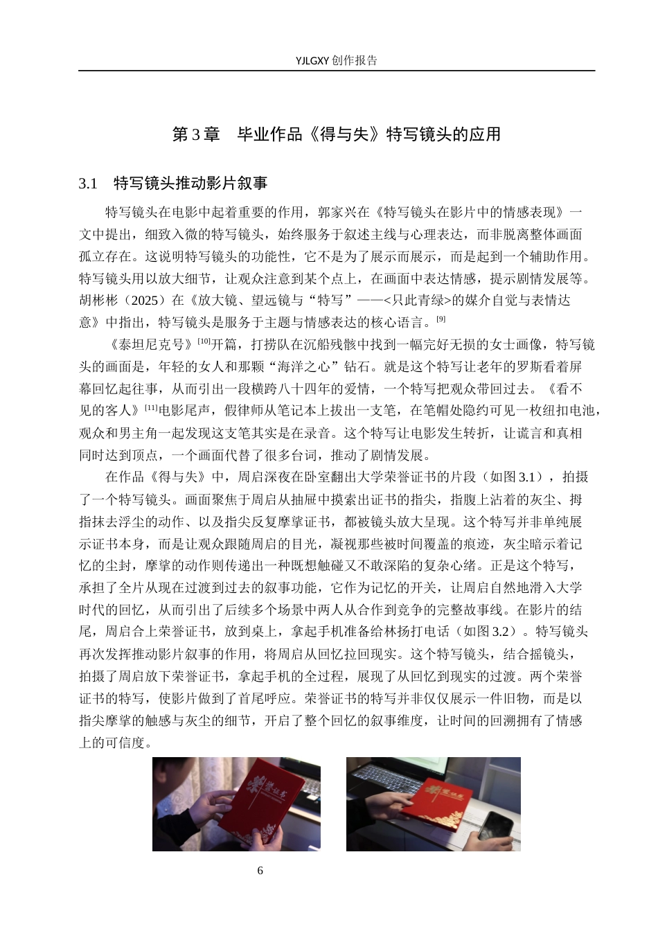 26年WP摄影 毕业作品《得与失》中特写镜头的运用6.2-AI13.41(22256字).docx_第9页