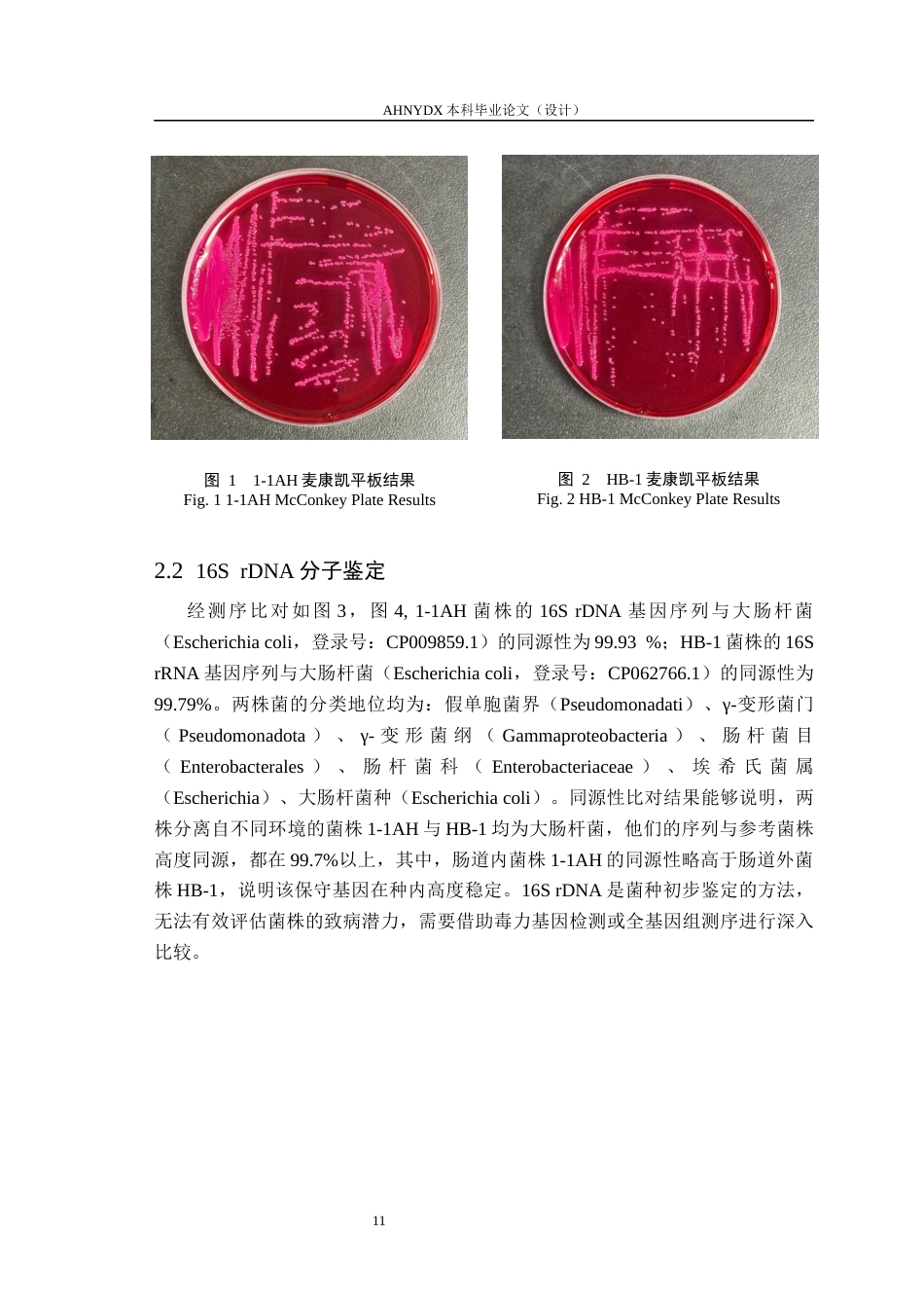 26年WP动物医学 基于全基因组分析与表型验证的两株猪源大肠杆菌致病潜力比较研究18.19-AI通过_1(15776字).docx_第10页