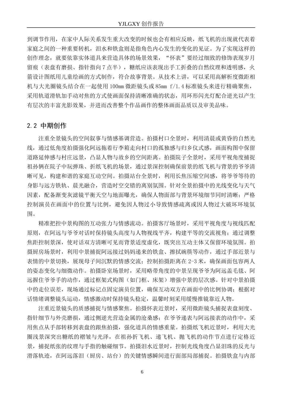 26年WP摄影 毕业作品《最后一次清醒》中景别的运用2.66-AI(29458字).docx_第9页