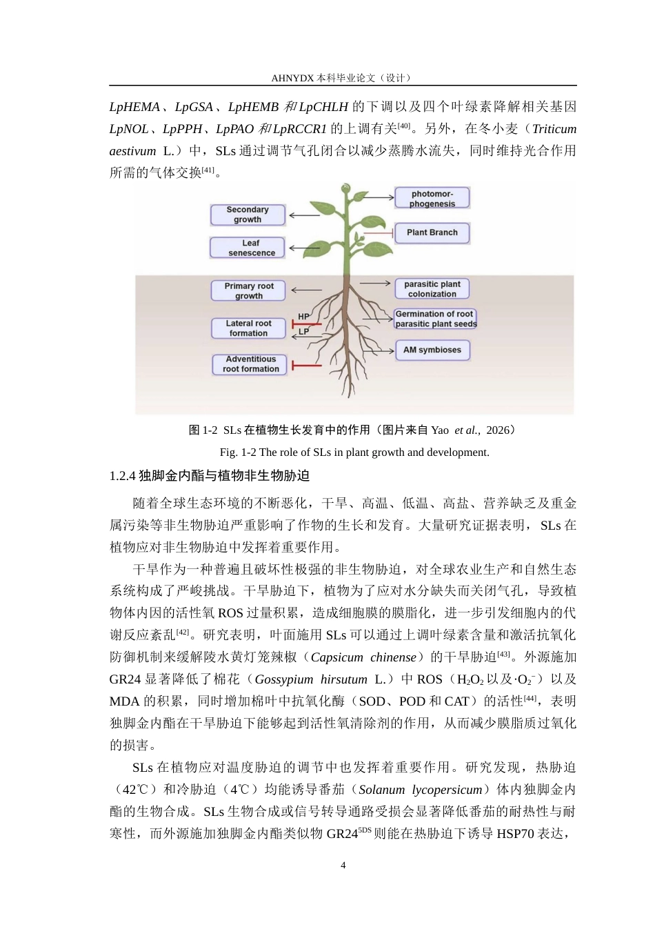 26年WP生物类创新实验班 独脚金内酯类似物GR24促进玉米抗旱的转录组学分析26.36-AI通过_1(15151字).docx_第8页