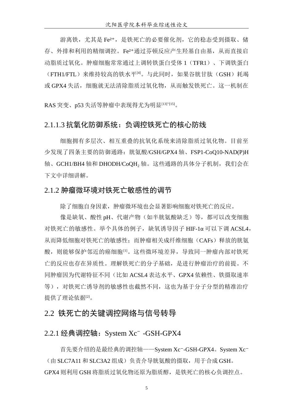 26年WP医学检验技术 铁死亡在肿瘤中的作用及其治疗潜力18.85-AI10.79(26123字).doc_第6页