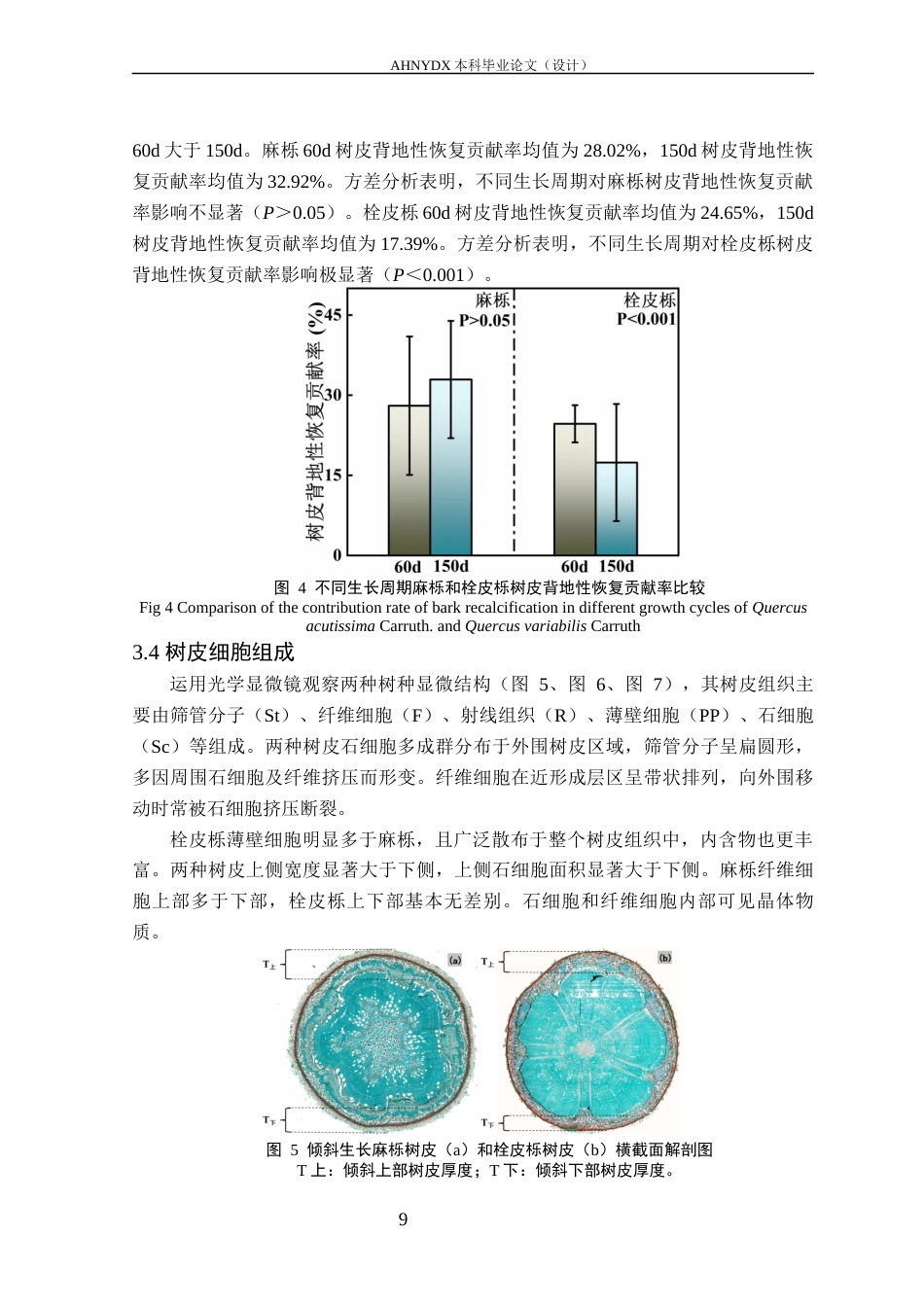 26年WP林学 树皮在树木背地性恢复中的作用及其解剖特征研究14.3-AI通过(9582字).docx_第10页