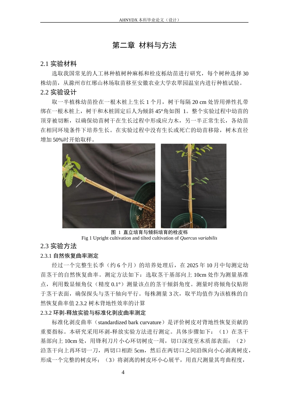 26年WP林学 树皮在树木背地性恢复中的作用及其解剖特征研究14.3-AI通过(9582字).docx_第5页