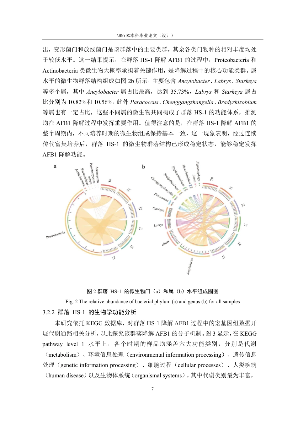 26年WP生物技术 AFB1降解群落HS-1的宏基因组学分析27.3-AI通过_1-约19928字符.pdf_第10页