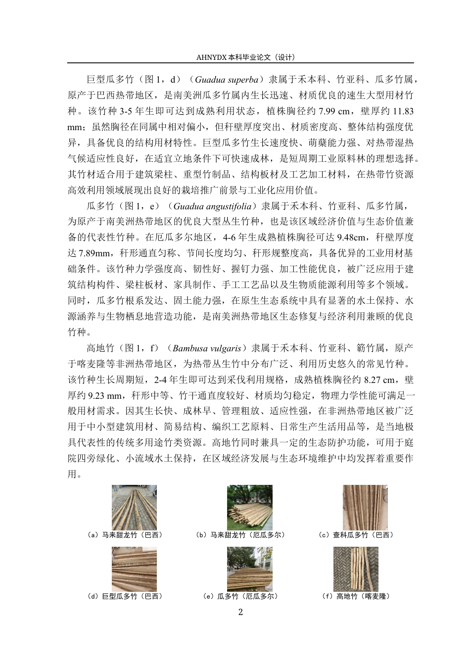 26年WP木材科学与工程 国外5种竹材的物理力学性能研究7.42-AI通过(9368字).docx_第7页