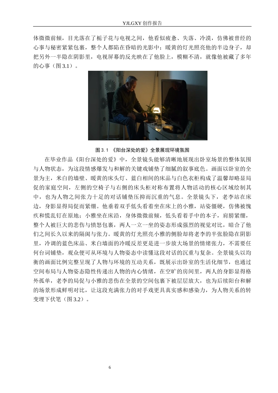 26年WP摄影 毕业作品《阳台深处的爱》中景别的设计与运用6.73-AI14.88(19818字).docx_第9页