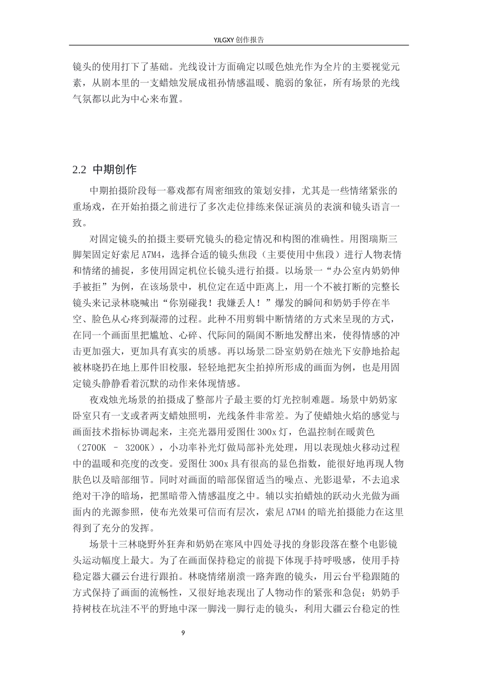 26年WP摄影 毕业作品《烛火》中色调的运用0.28-AI5.25(21489字).docx_第9页