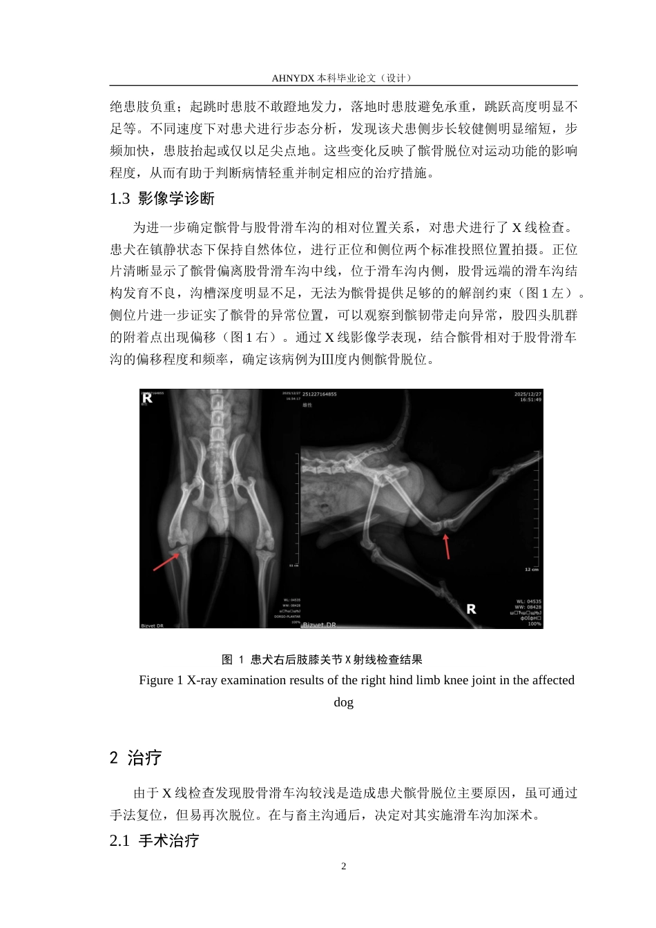 26年WP动物医学 犬髌骨脱位诊断与治疗6.86-AI通过_1(6886字).doc_第6页
