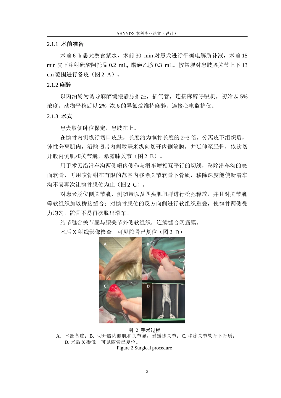 26年WP动物医学 犬髌骨脱位诊断与治疗6.86-AI通过_1(6886字).doc_第7页