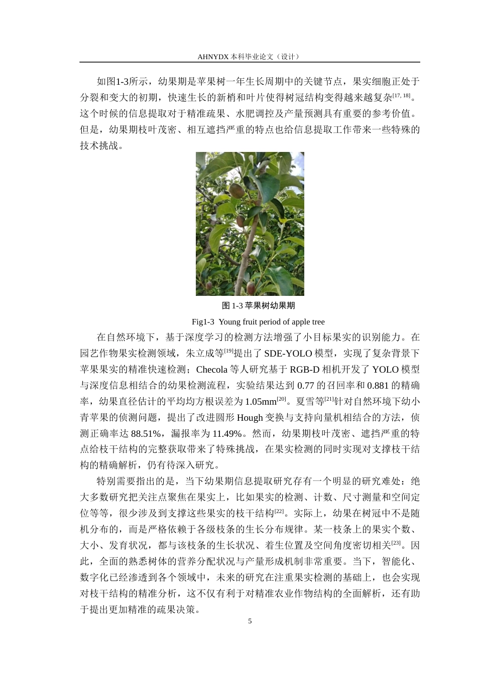 26年WP机械设计制造及其自动化 矮砧密植苹果幼果期“干-枝”实例信息提取方法研究9.92-AI通过(16309字).docx_第10页