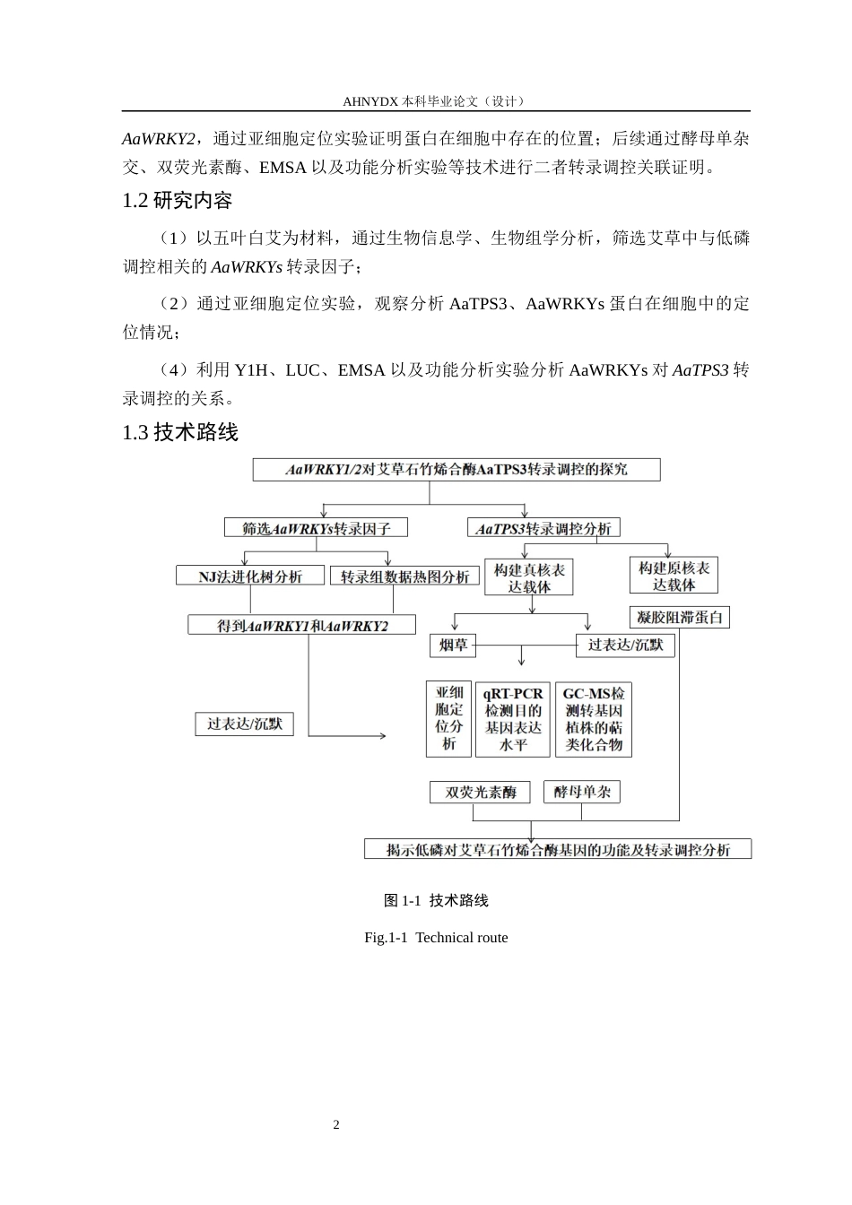 26年WP生物类创新实验班 艾草AaWRKY12调控石竹烯合酶基因AaTPS3转录的探究14.42-AI通过_1(12913字).docx_第6页