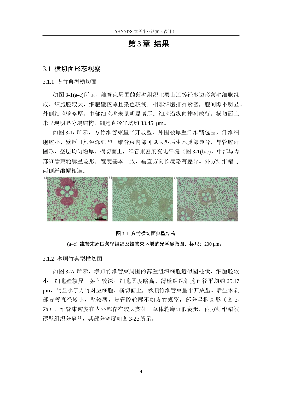 26年WP材料科学与工程 方竹与孝顺竹横切面解剖特征比较分析6.14-AI通过(9719字).docx_第7页