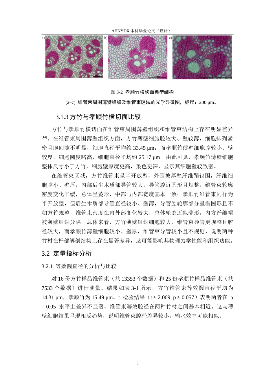 26年WP材料科学与工程 方竹与孝顺竹横切面解剖特征比较分析6.14-AI通过(9719字).docx_第8页