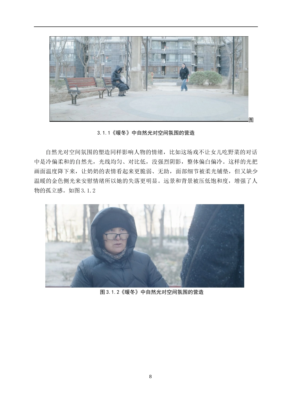 26年WP摄影 毕业作品《暖冬》中光线的作用10.63-AI34.75(15055字).docx_第8页