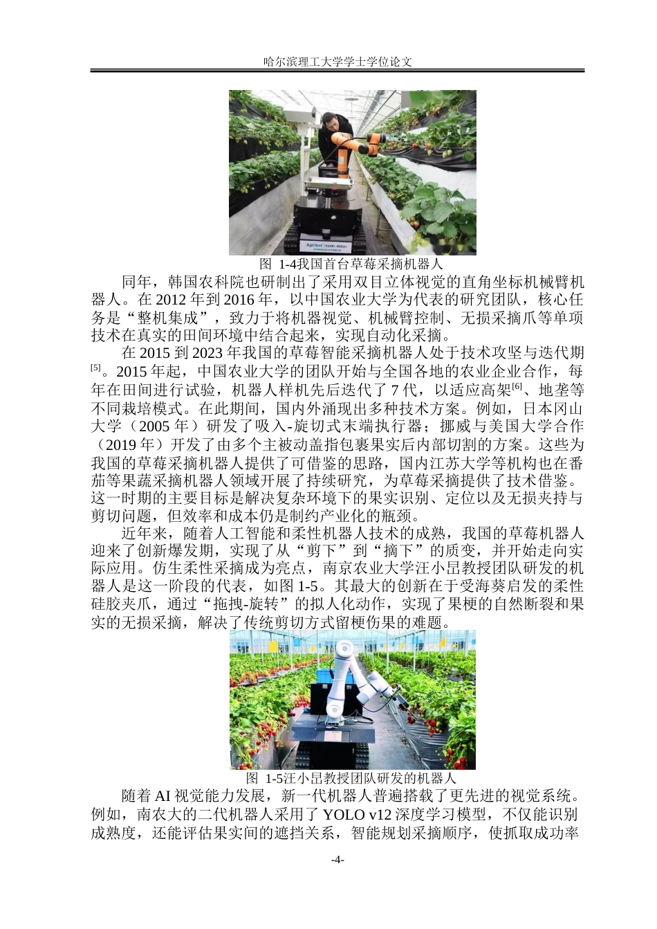 26年WP智能制造工程 草莓智能采摘机器人设计10.7-AI29.54-约50478字符.doc_第9页