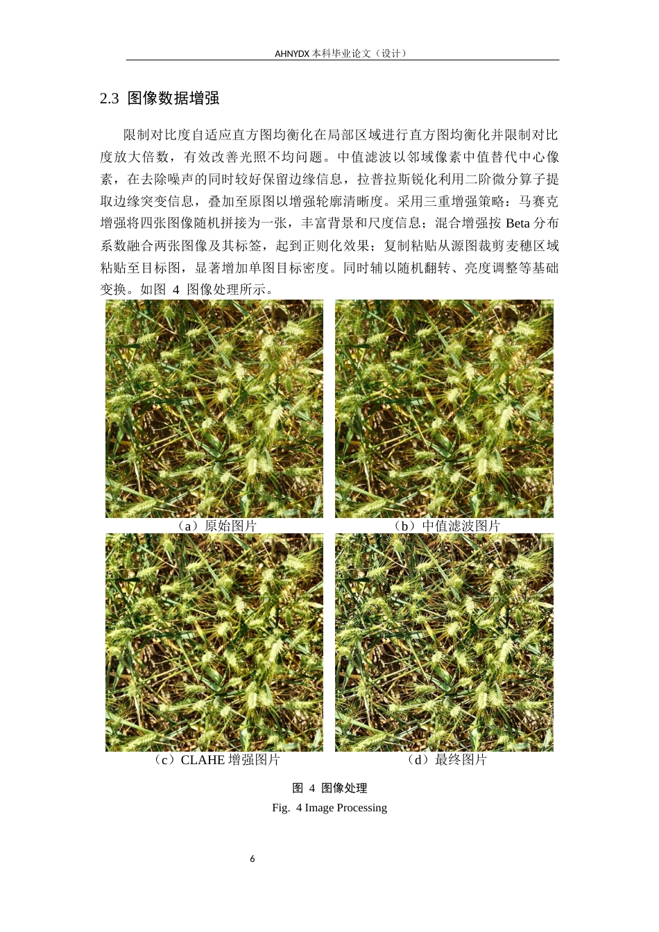 26年WP计算机科学与技术 基于改进YOLOv8n与多模型加权融合的麦穗检测方法研究9.49-AI通过(17014字).docx_第10页