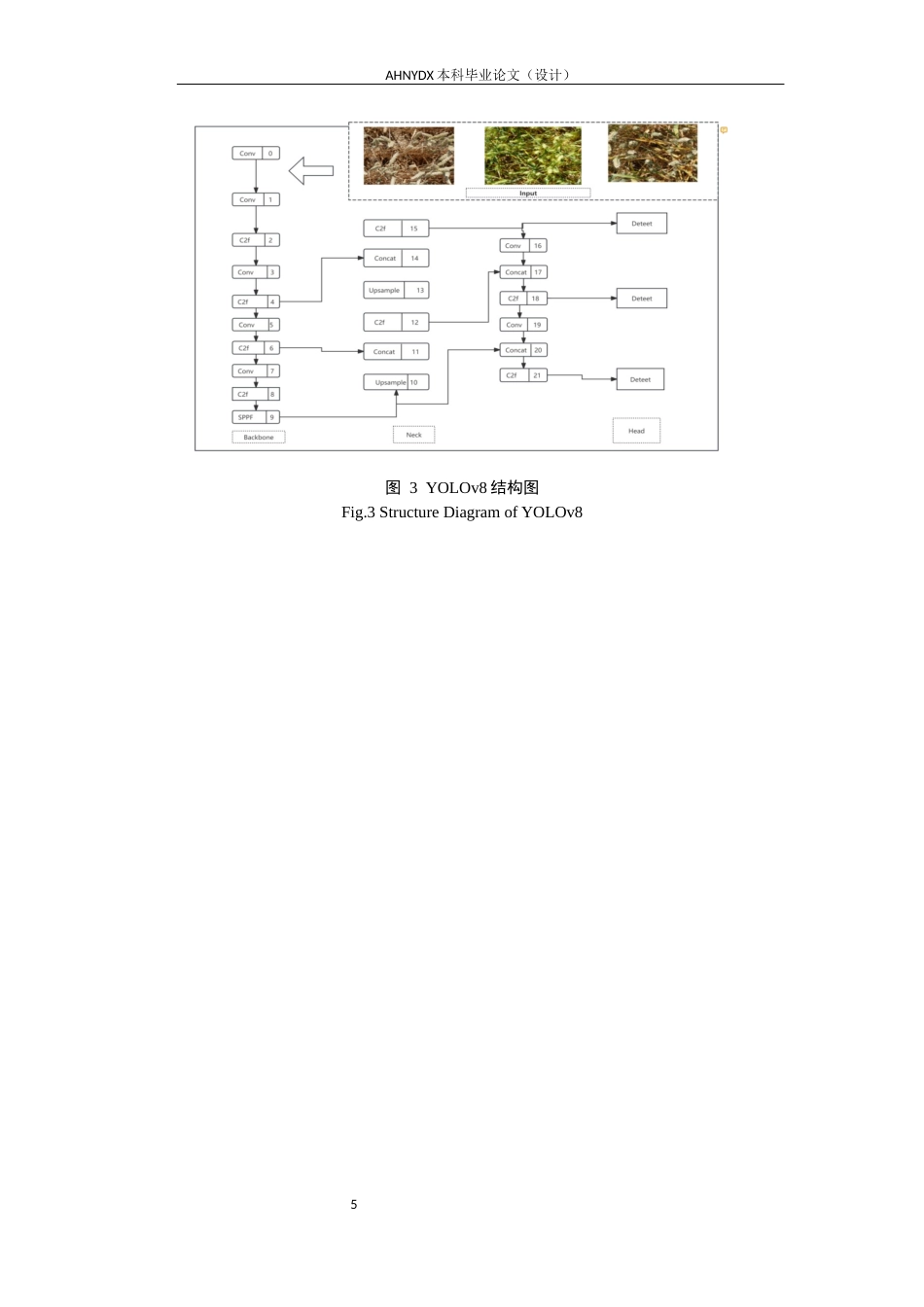 26年WP计算机科学与技术 基于改进YOLOv8n与多模型加权融合的麦穗检测方法研究9.49-AI通过(17014字).docx_第9页