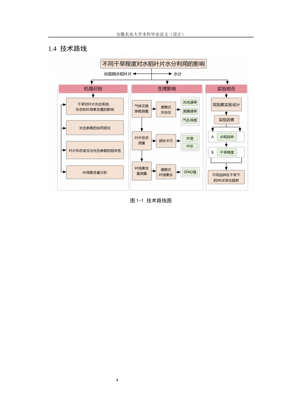 26年WP农业水利工程 不同水分条件下水稻叶片光合碳同化与水分蒸腾的权衡关系研究8.41-AI通过(19148字).docx_第10页