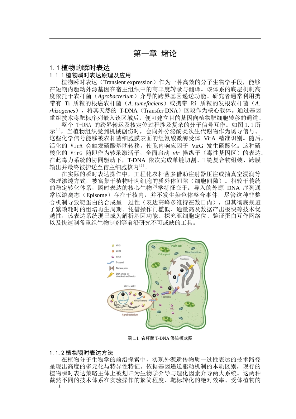 26年WP园艺 垫片加压辅助猕猴桃叶片注射系统的构建20.7-AI通过(14583字).docx_第4页