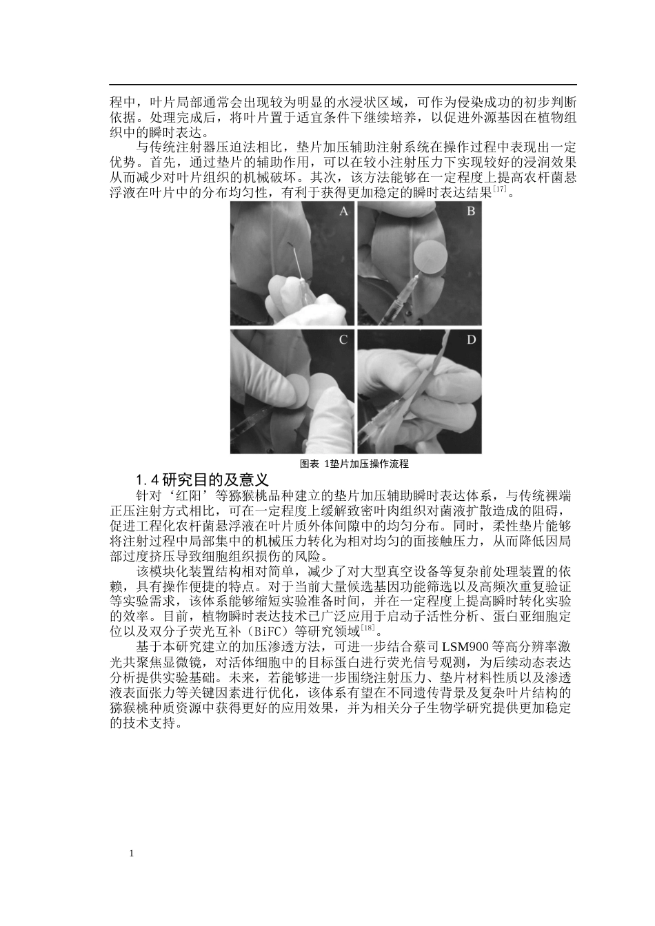 26年WP园艺 垫片加压辅助猕猴桃叶片注射系统的构建20.7-AI通过(14583字).docx_第8页