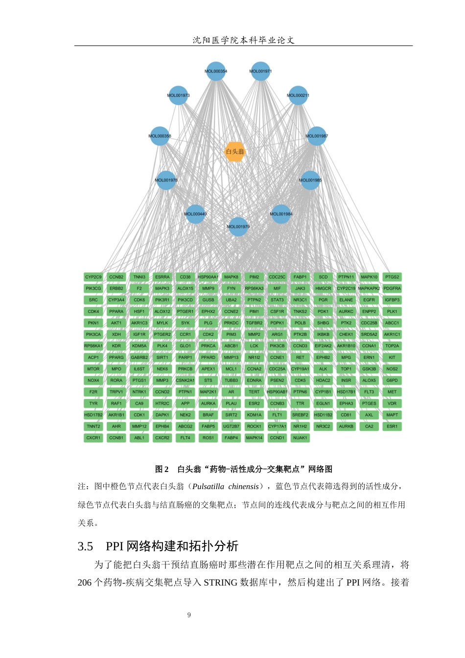 26年WP中药学 基于网络药理学探讨白头翁辅助改善结直肠癌的作用机制-AI(10622字).docx_第10页