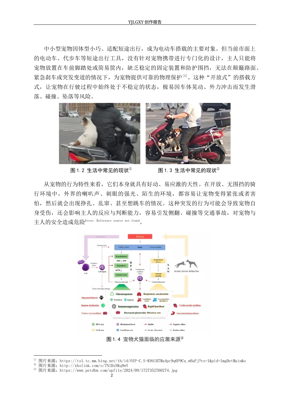 26年WP产品设计 基于城市出行情境的宠物友好型人宠出行车设计6.26-AI(10821字).docx_第5页