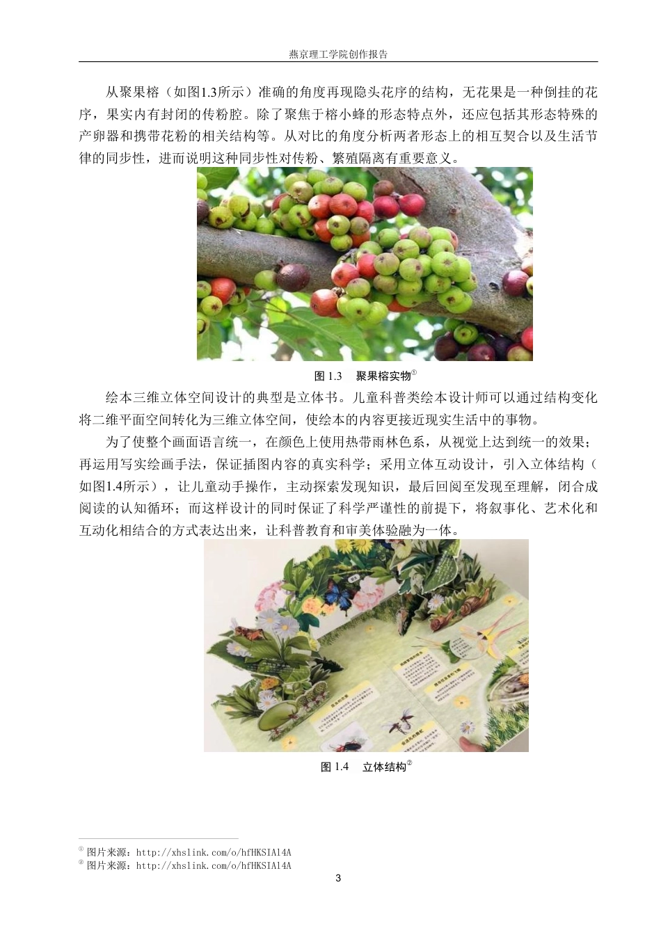 26年WP视觉传达设计 自然元素在《雨林的秘密》绘本中的设计与应用5.8-AI10.17-约19138字符.pdf_第6页