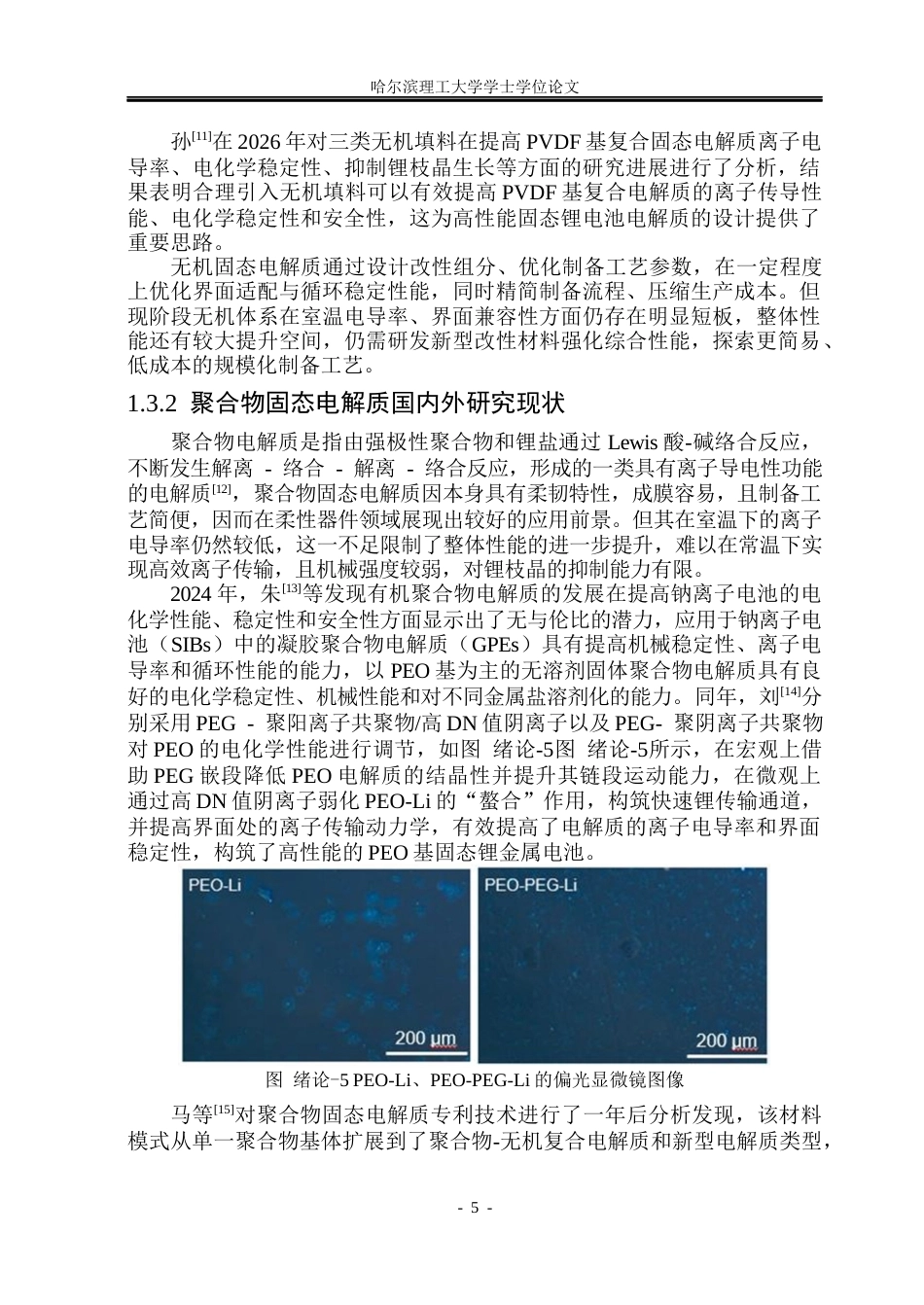 26年WP电子科学与技术 碘掺杂LLZTO复合固态电解质性能分析与测试19.8-AI15.36_1(30281字).docx_第10页