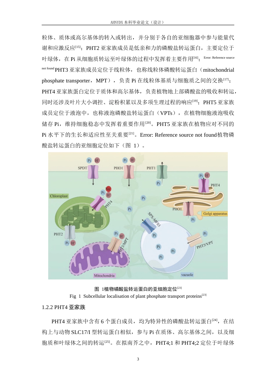26年WP生物科学 拟南芥磷酸盐转运蛋白PHT44的表达和初步结构探究24.12-AI通过_1(16974字).docx_第7页