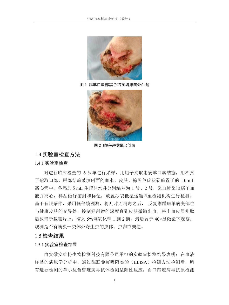 26年WP动物医学 一例绵羊羊口疮的诊疗报告12.22-AI通过_1-约10079字符.pdf_第6页