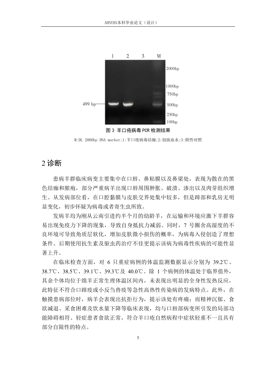 26年WP动物医学 一例绵羊羊口疮的诊疗报告12.22-AI通过_1-约10079字符.pdf_第8页