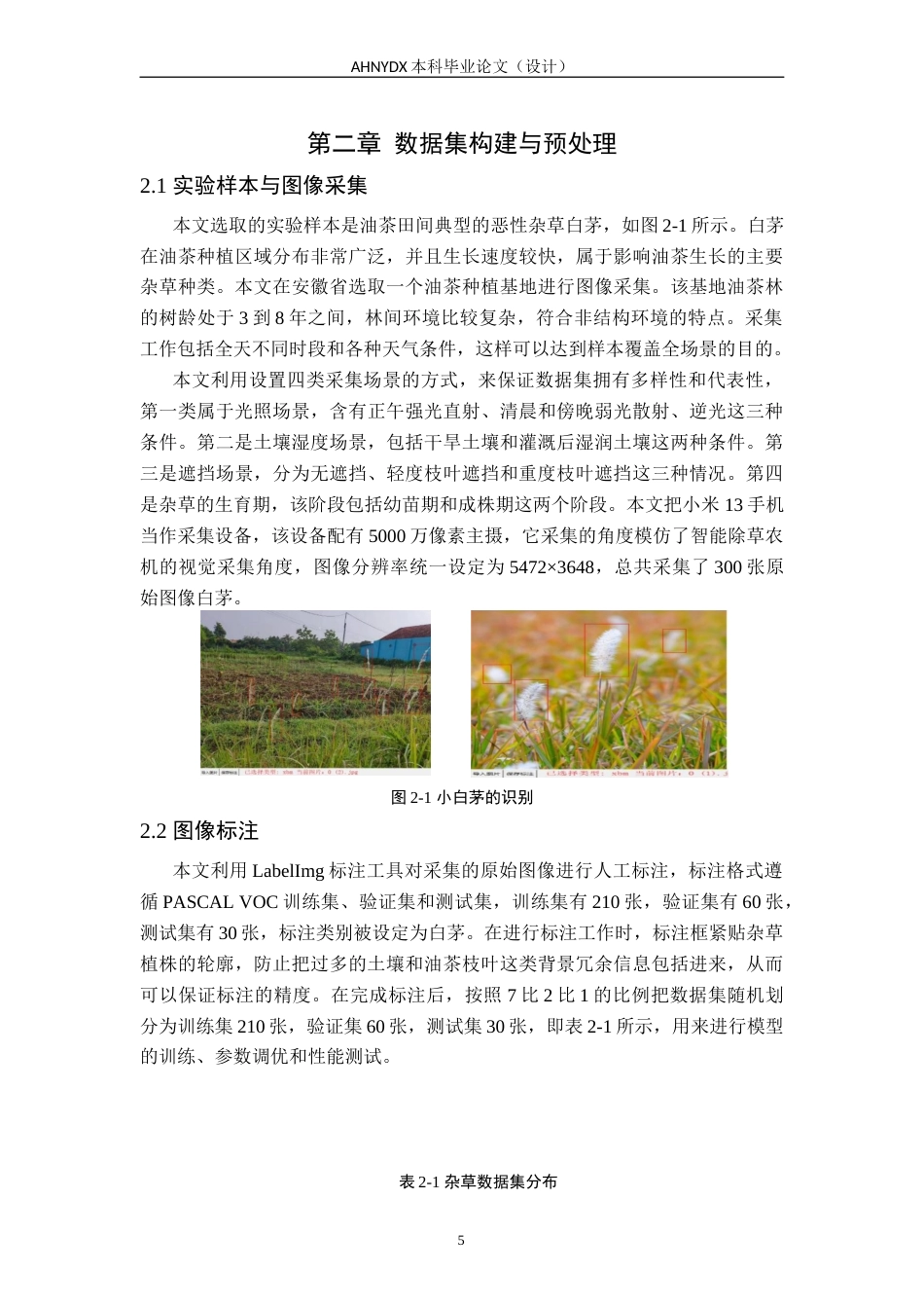 26年WP智能制造工程 基于深度学习的非结构环境下杂草识别定位12.18-AI通过(10178字).docx_第8页