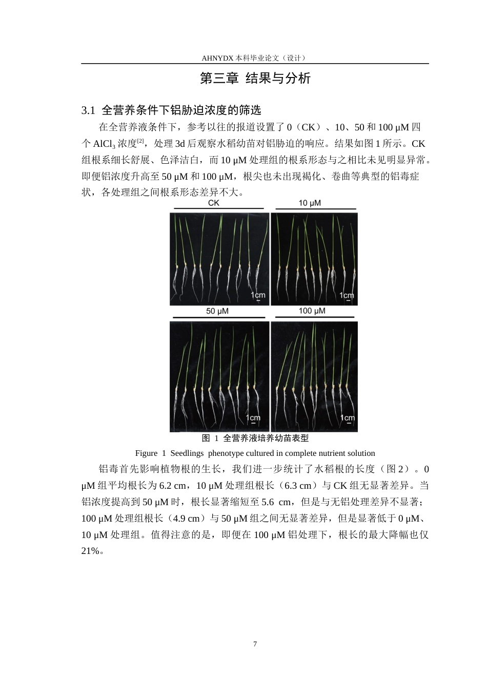 26年WP茶学 外源茶氨酸处理对水稻铝耐受性的影响分析4.92-AI通过(11307字).docx_第10页