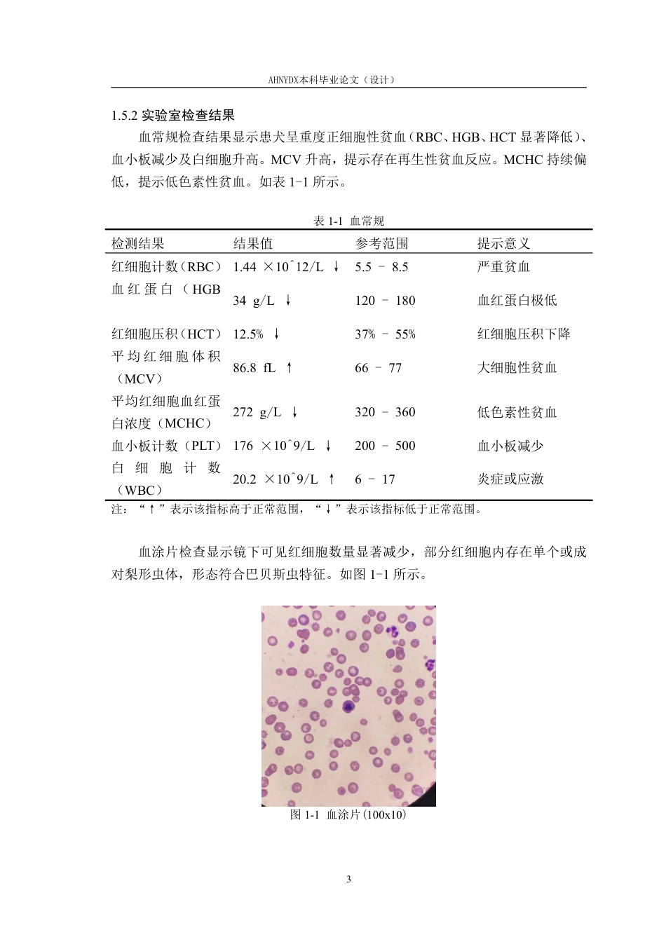 26年WP动物医学 一例犬巴贝斯虫病的诊治10.95-AI通过_1-约9904字符.pdf_第6页