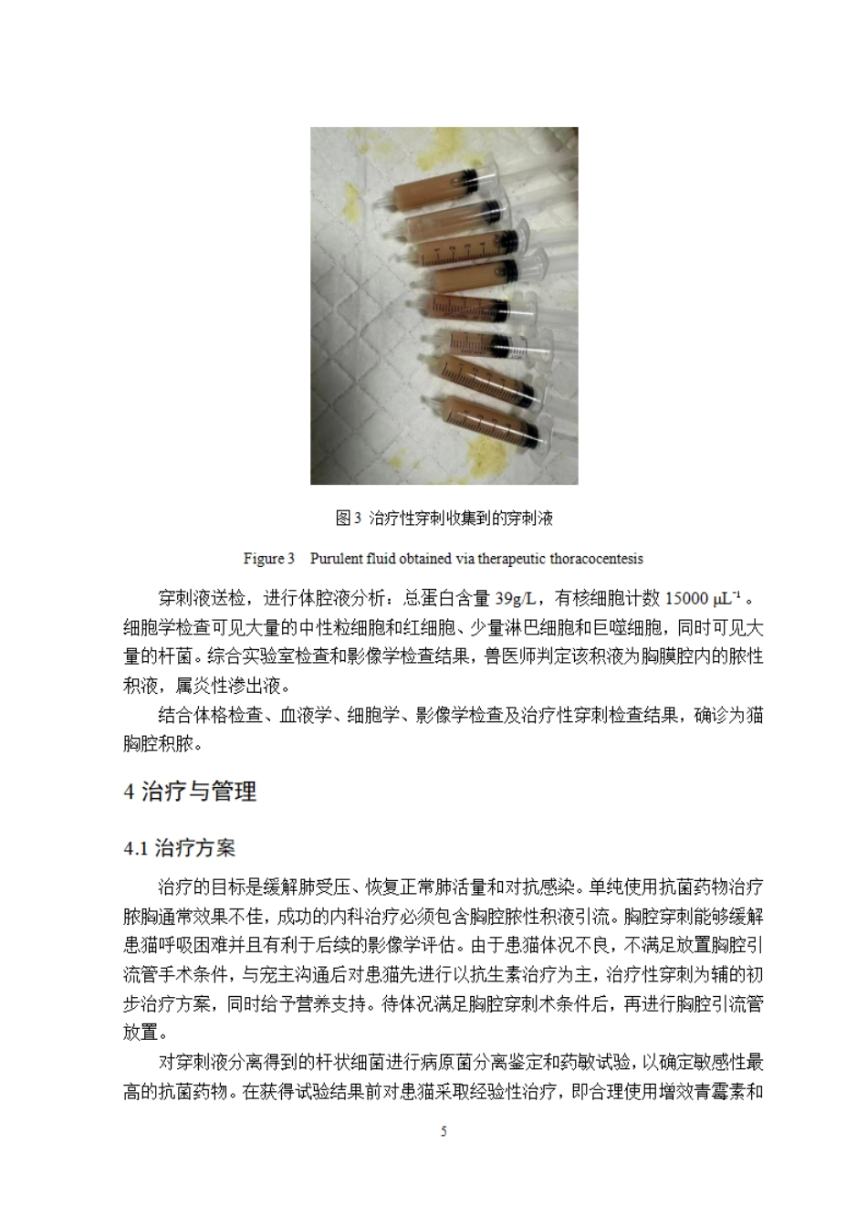 26年WP动物医学 一例猫胸腔积脓的诊治7.26-AI通过_1.pdf_第10页