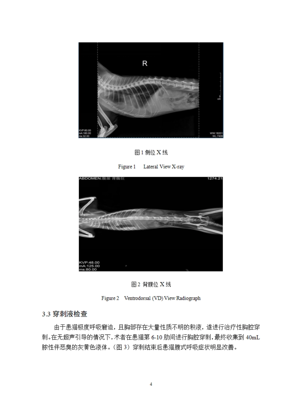 26年WP动物医学 一例猫胸腔积脓的诊治7.26-AI通过_1.pdf_第9页