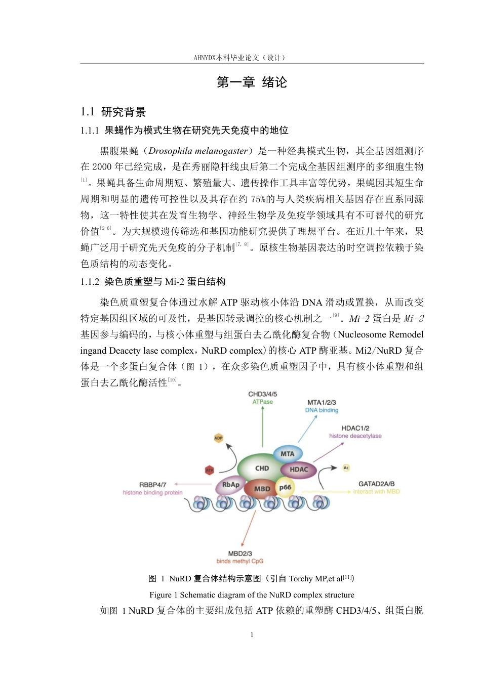 26年WP生物科学 果蝇Mi-2基因的原核表达载体构建与鉴定17.33-AI通过_1-约29003字符.pdf_第4页