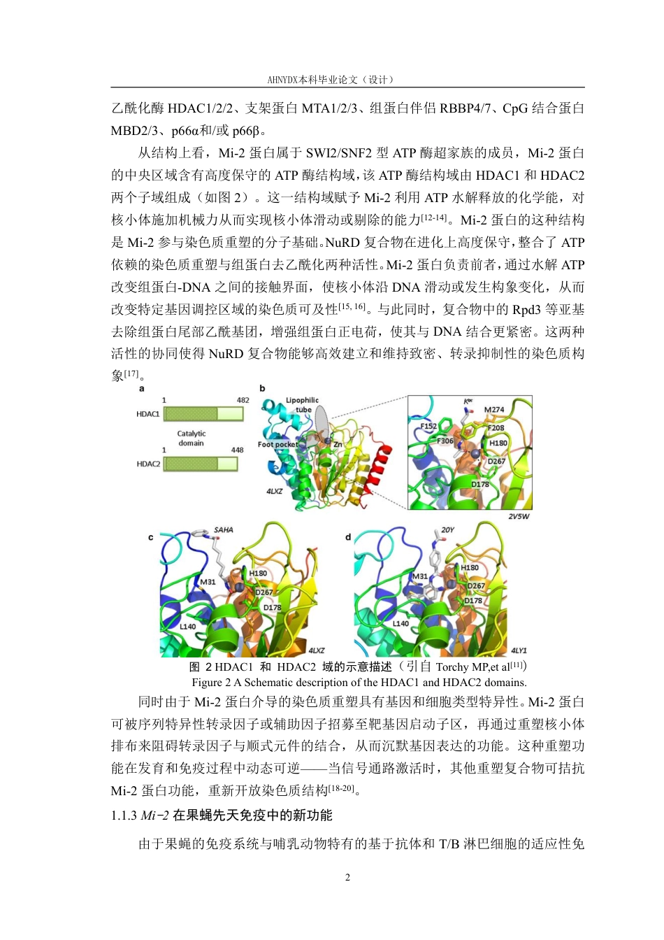 26年WP生物科学 果蝇Mi-2基因的原核表达载体构建与鉴定17.33-AI通过_1-约29003字符.pdf_第5页