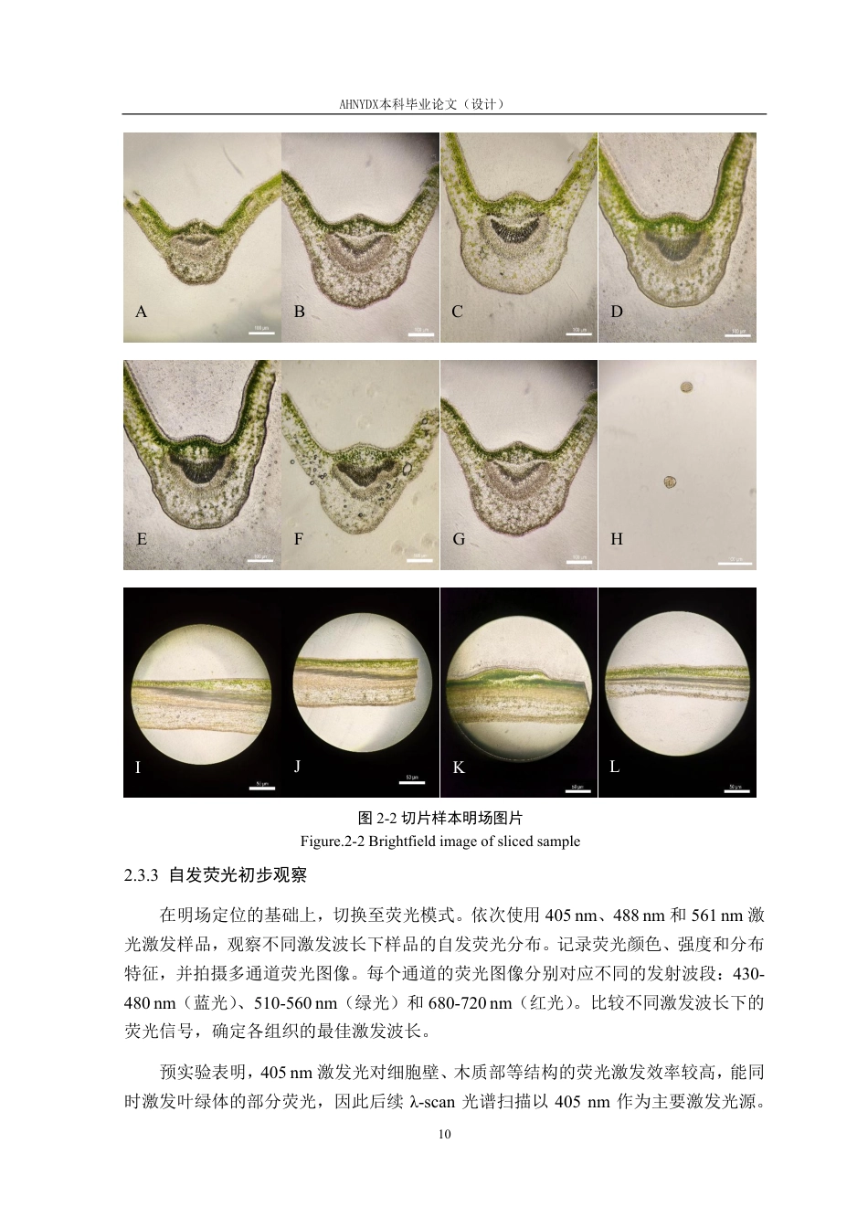 26年WP茶学 基于激光共聚焦λ-scan的茶树不同组织微区激发-发射光谱研究3.83-AI通过-约17191字符.pdf_第10页