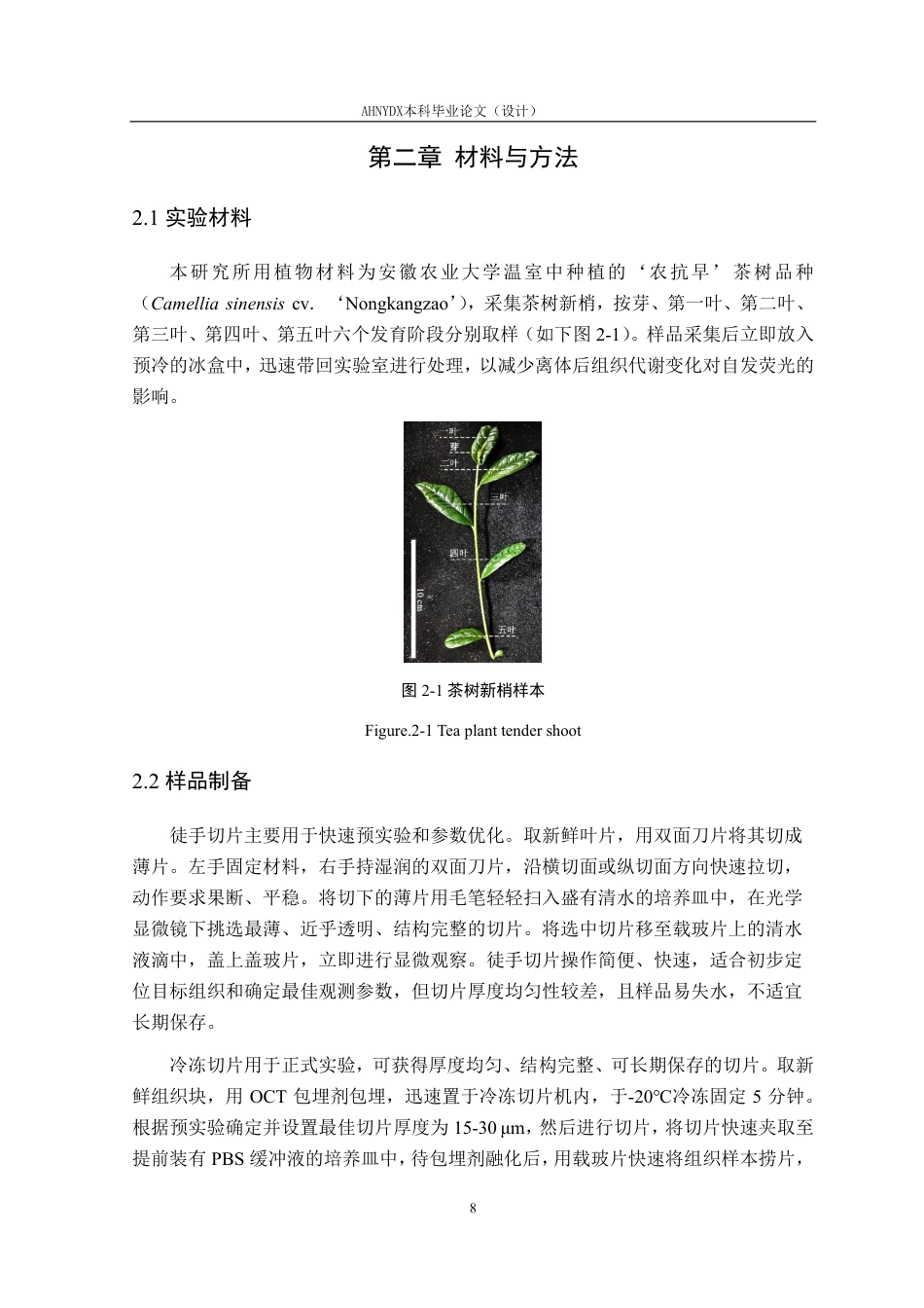 26年WP茶学 基于激光共聚焦λ-scan的茶树不同组织微区激发-发射光谱研究3.83-AI通过-约17191字符.pdf_第8页