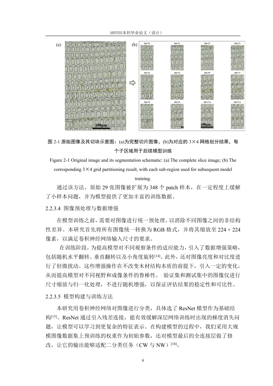 26年WP材料科学与工程 杉木正常木与应压木的细胞解剖特征差异及分类研究6.88-AI通过-约18193字符.pdf_第10页